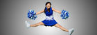 Pompom 800x292